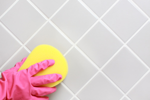 Tile Grout Cleaning Malibu